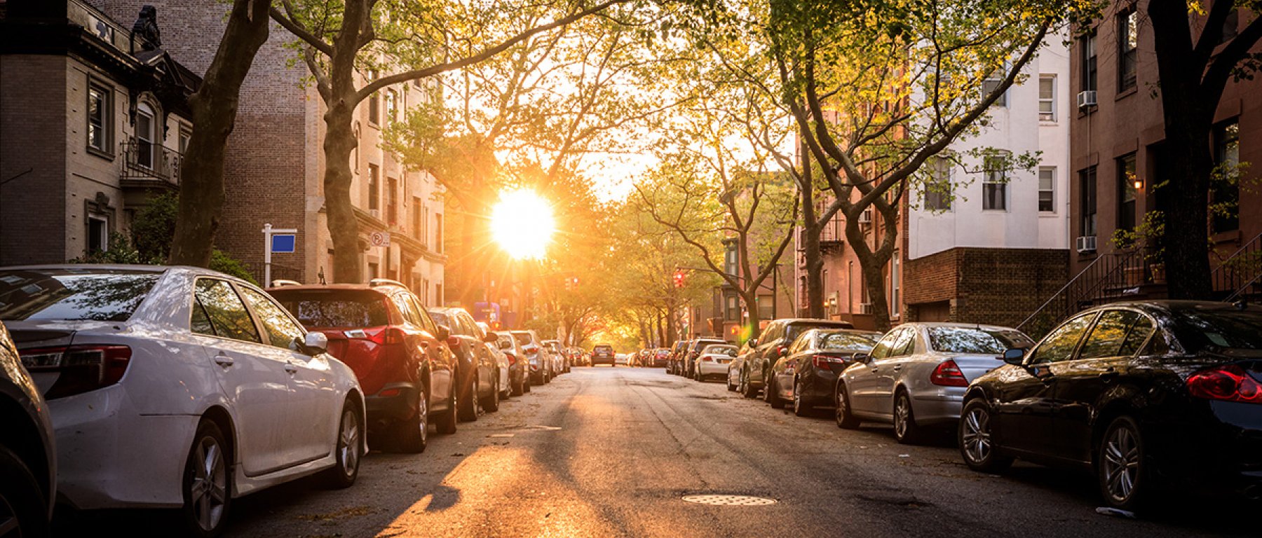 Third Party Car Insurance Sheilas' Wheels